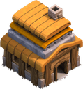 Town Hall 4